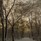Winter.
